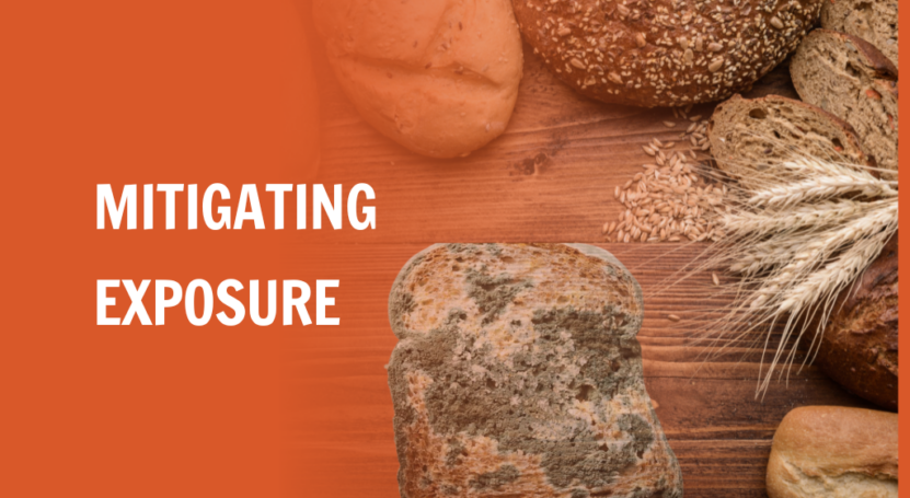 Mitigating exposure of moldy bread