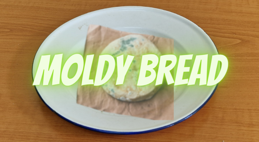 Moldy bread